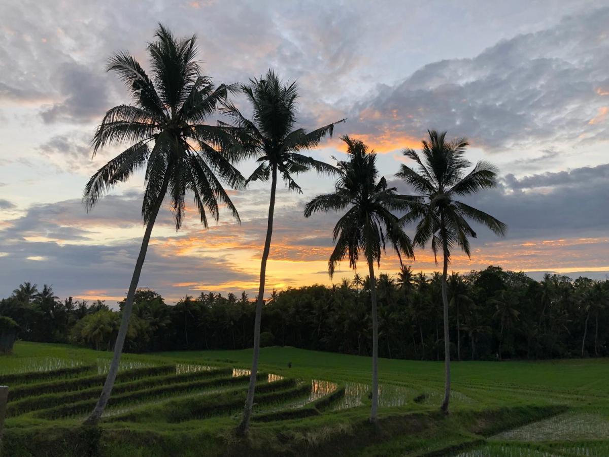 Coco Verde Bali Resort Tanah Lot Exteriér fotografie